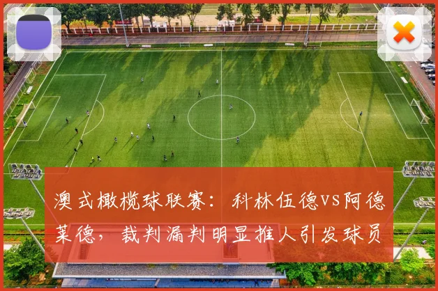 澳式橄榄球联赛：科林伍德vs阿德莱德，裁判漏判明显推人引发球员群殴