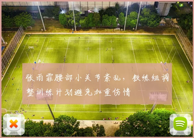 张雨霏腰部小关节紊乱,教练组调整训练计划避免加重伤情
